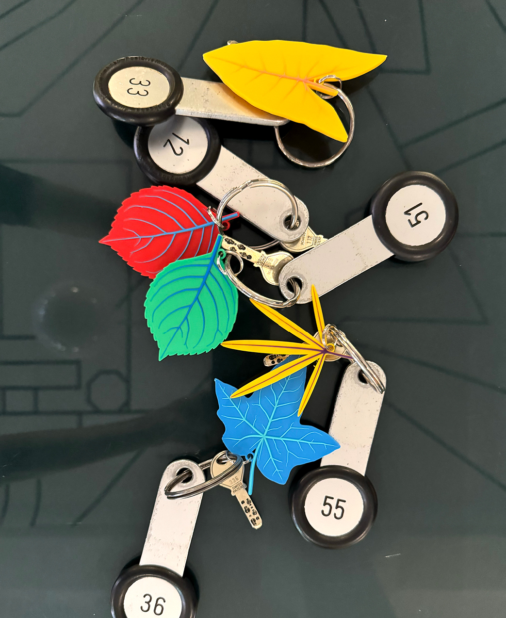 3Dprint-keyfobs-hotel-nizza-17